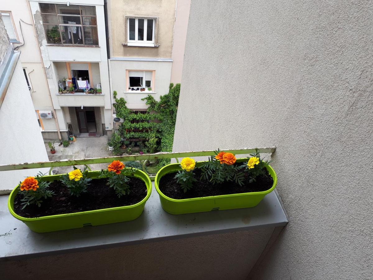 Cozy Hikers Flat Belgrado Exterior foto