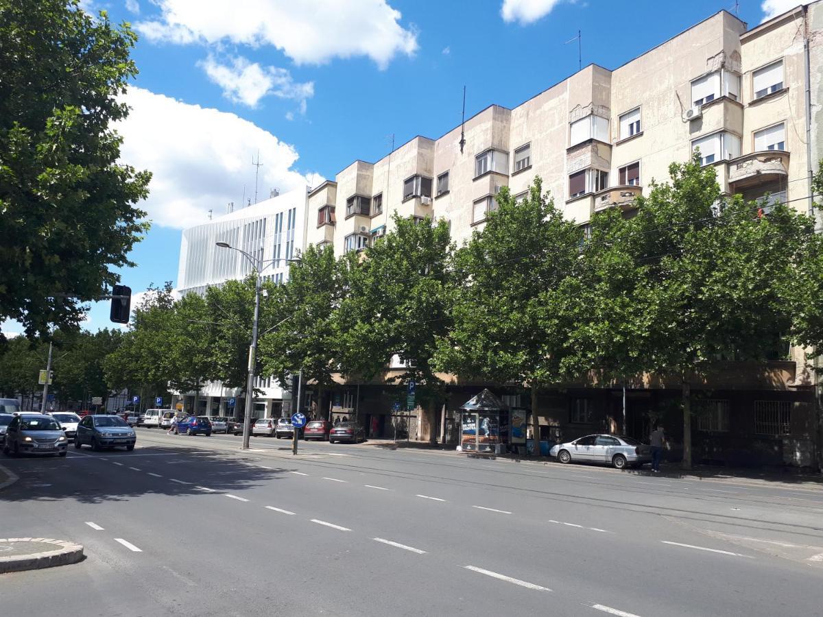 Cozy Hikers Flat Belgrado Exterior foto