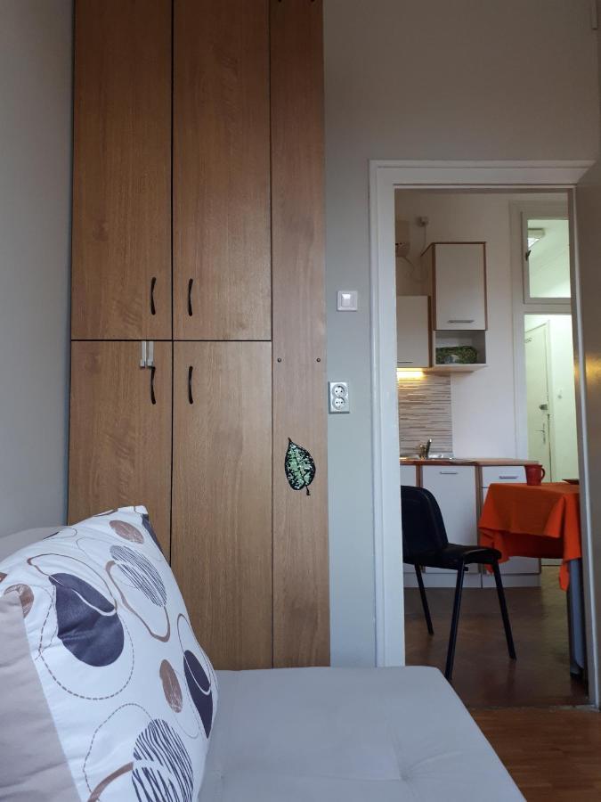Cozy Hikers Flat Belgrado Exterior foto