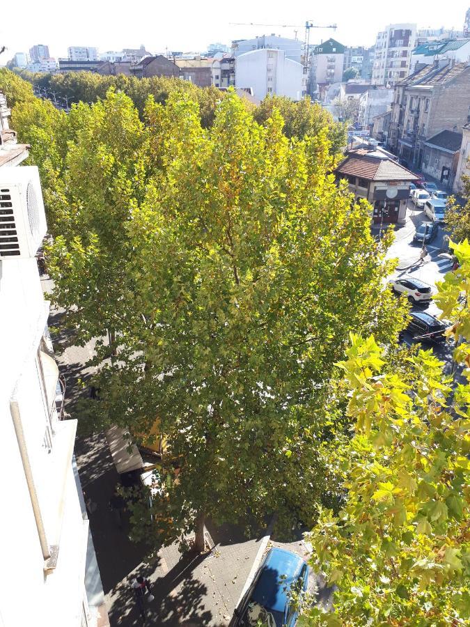 Cozy Hikers Flat Belgrado Exterior foto